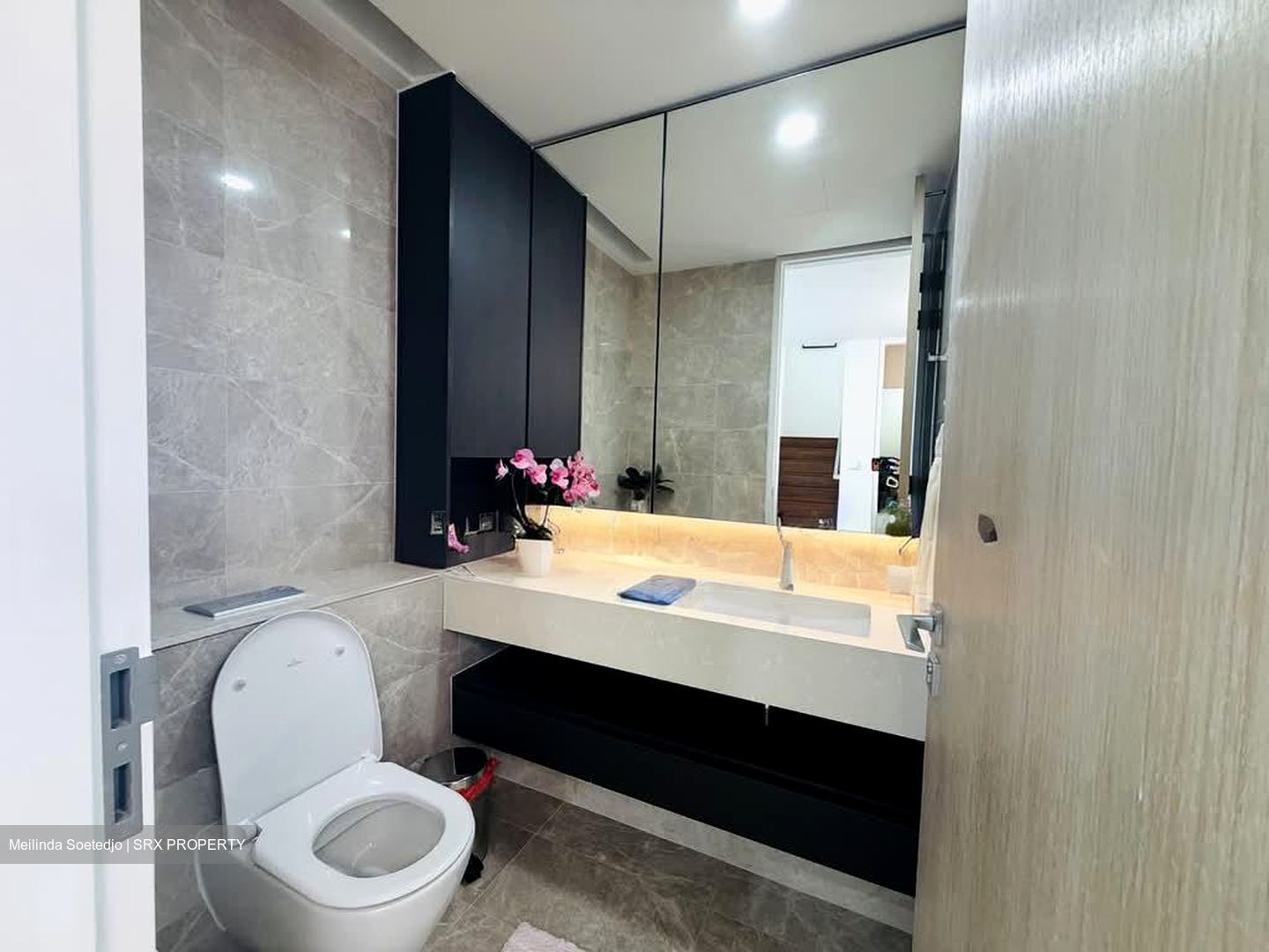 Amber Park (D15), Condominium #534688881